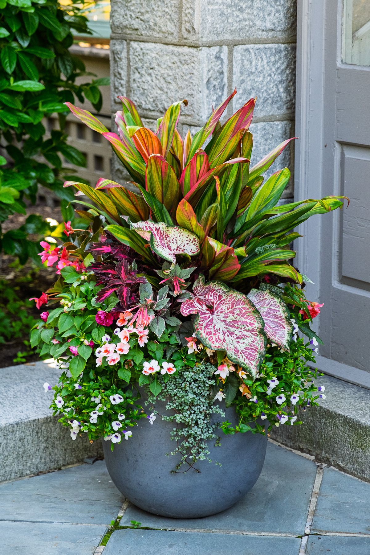 Enliven Planters summer container arrangement